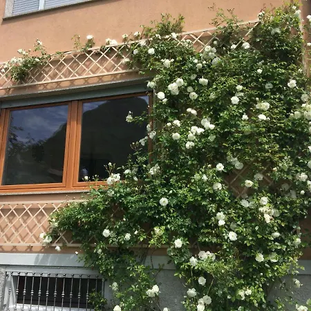 Vittoria *