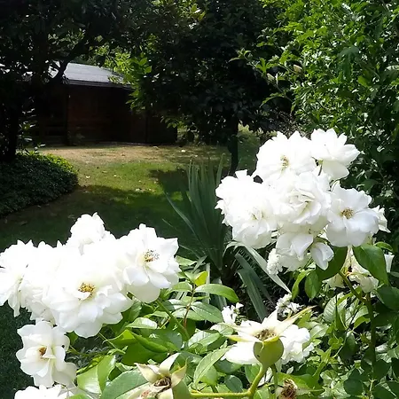 Vittoria アパート ドンゴ